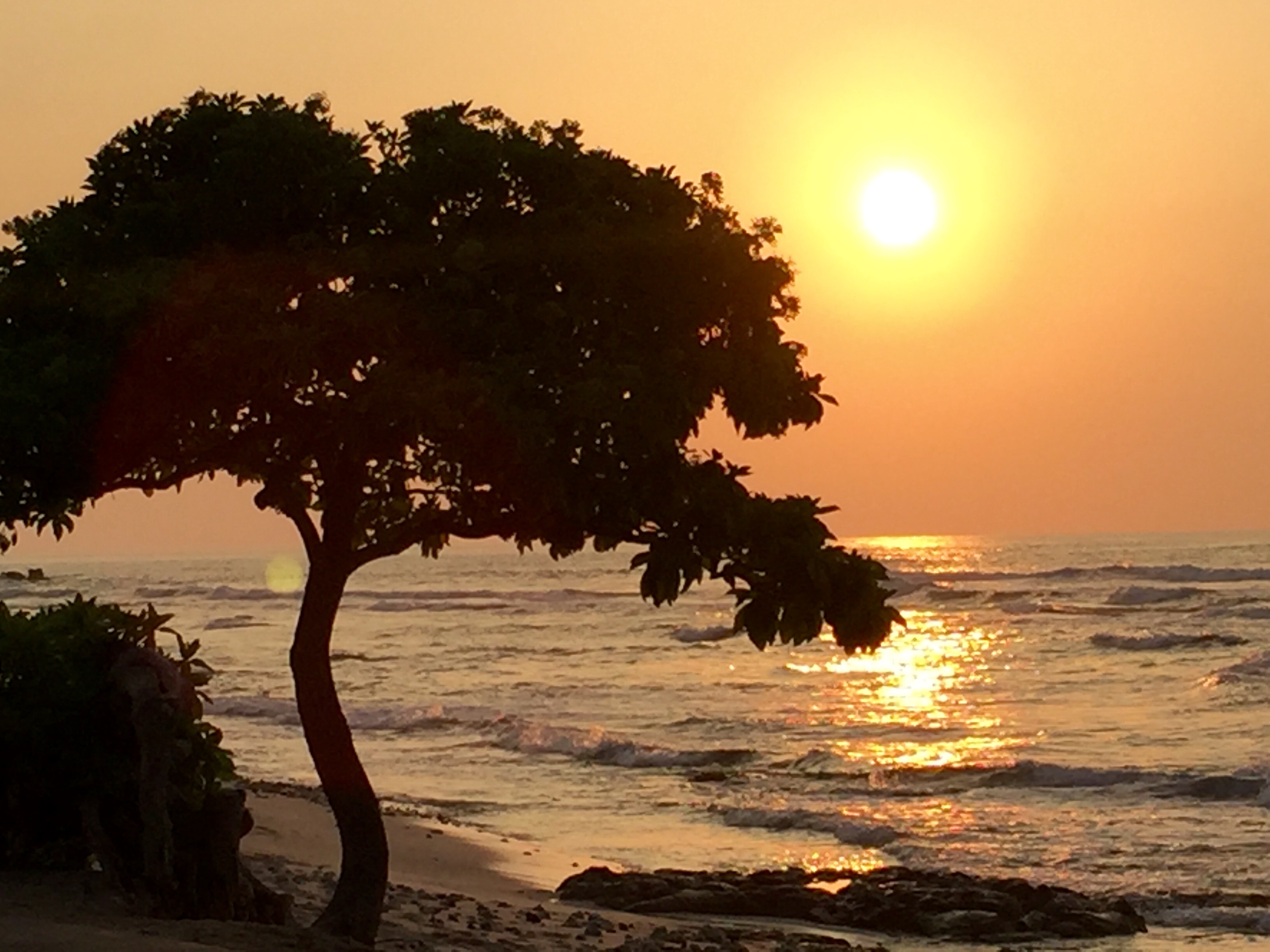 Reflect on the happiness and joy in your life today Reflect on the happiness and joy in your life today