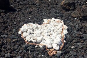 Happiness in Simple Places